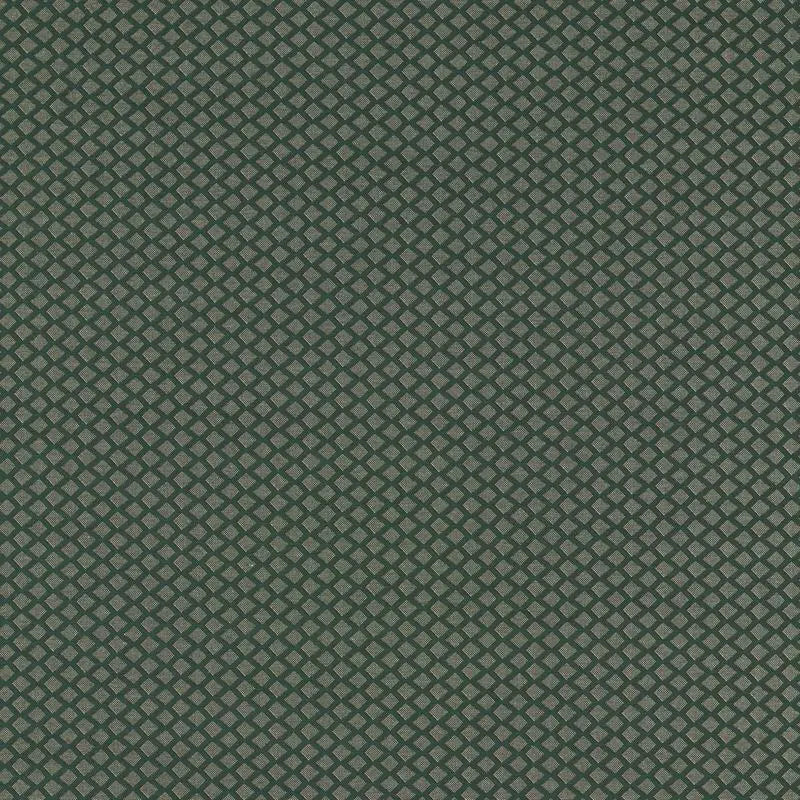 Clarke and Clarke Fabric F1618-1 Equator Forest