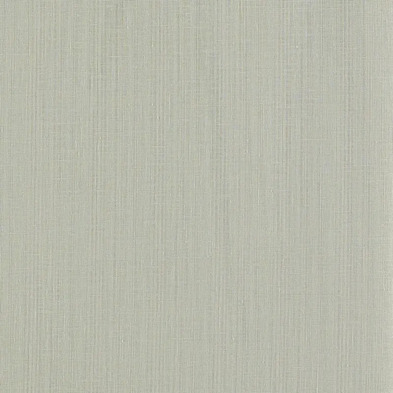 Clarke and Clarke Fabric F1665-12 Remo Smoke