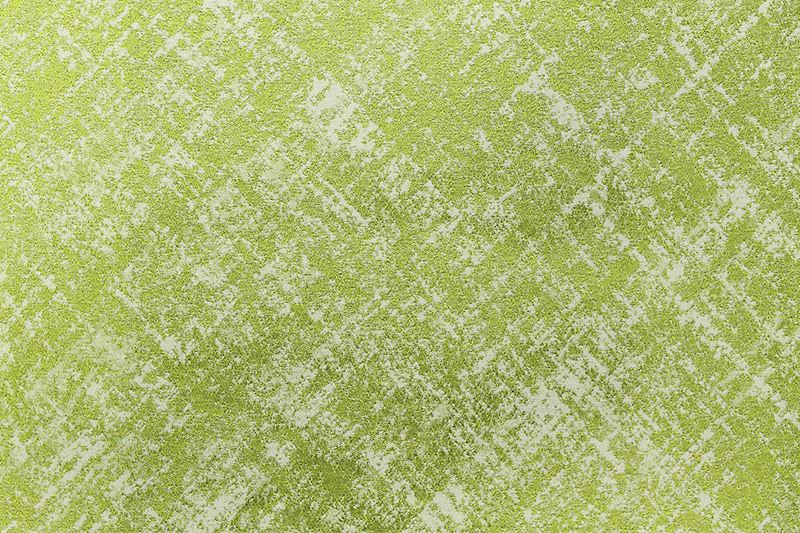 Scalamandre Fabric F3 00048028 Corso Vecchio Lime