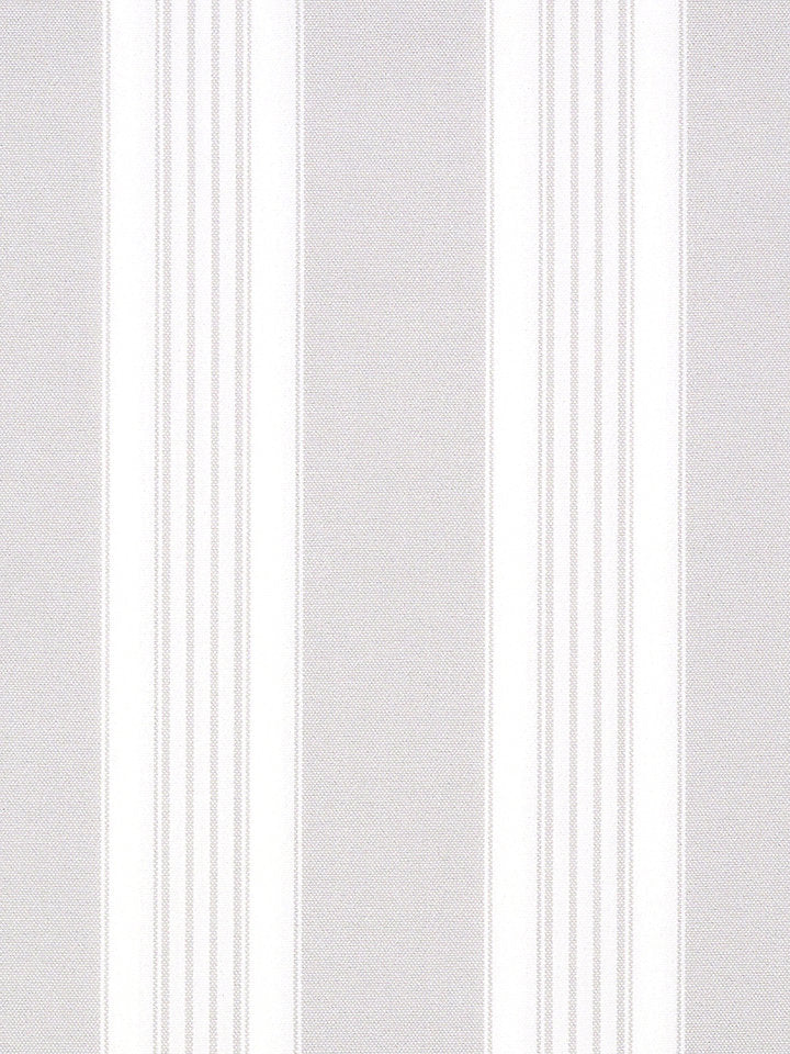 Scalamandre Fabric F3 00143021 Poker Wide Stripe Light Grey