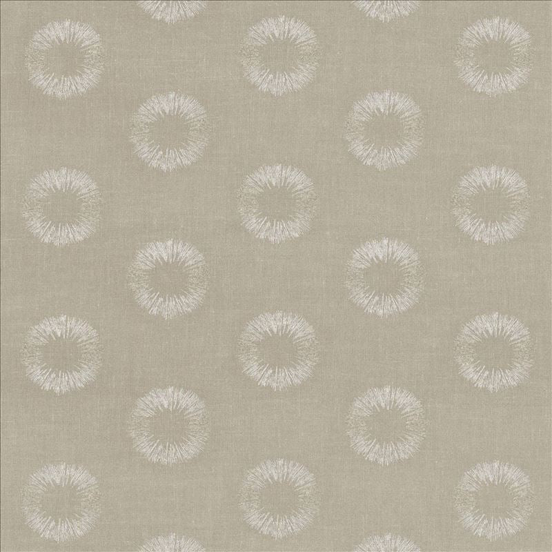 Kasmir Fabric Flashpoint Platinum