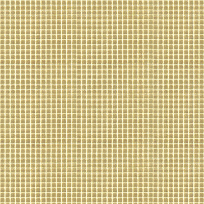 Groundworks Fabric GWF-3228.116 Roberto Velvet Beige