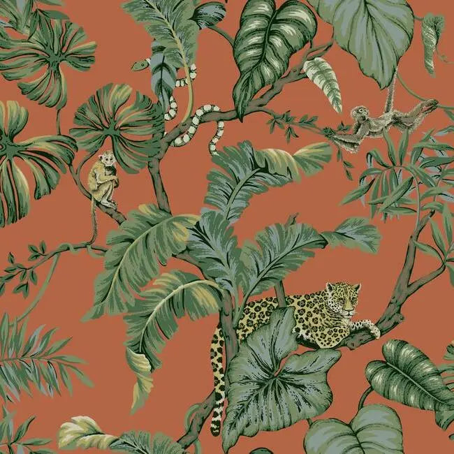 York HO2142 Jungle Cat Wallpaper