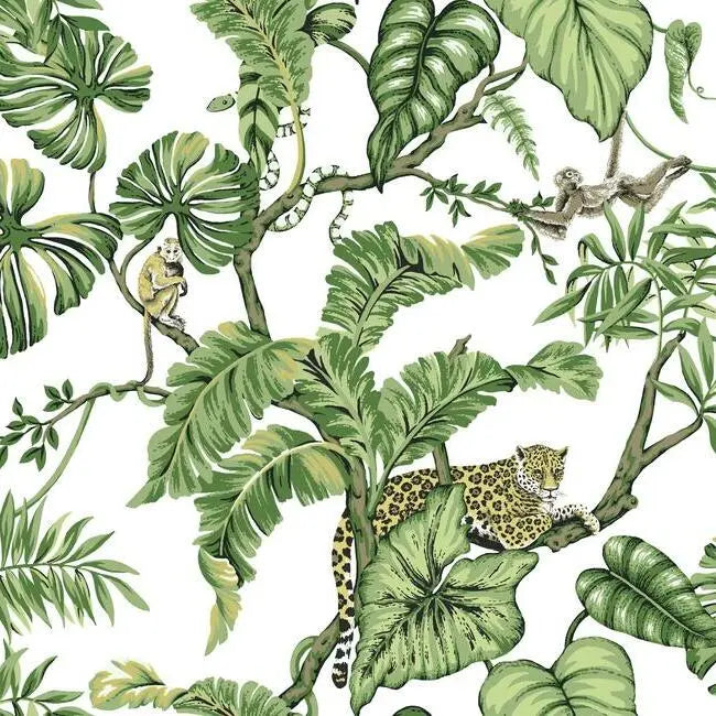 York HO2145 Jungle Cat Wallpaper