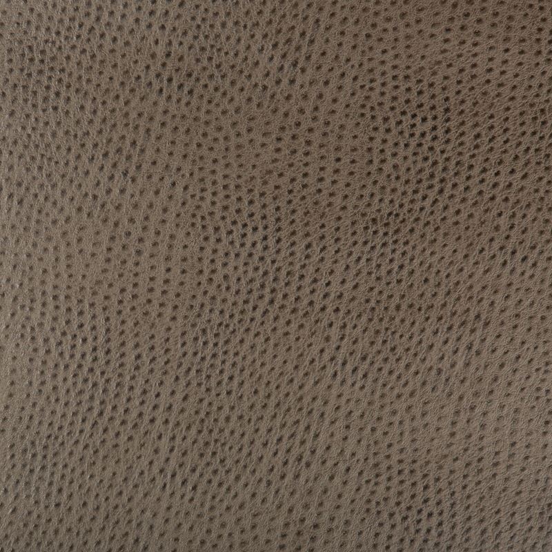 Fabric HUBBLE.106 Kravet Design by