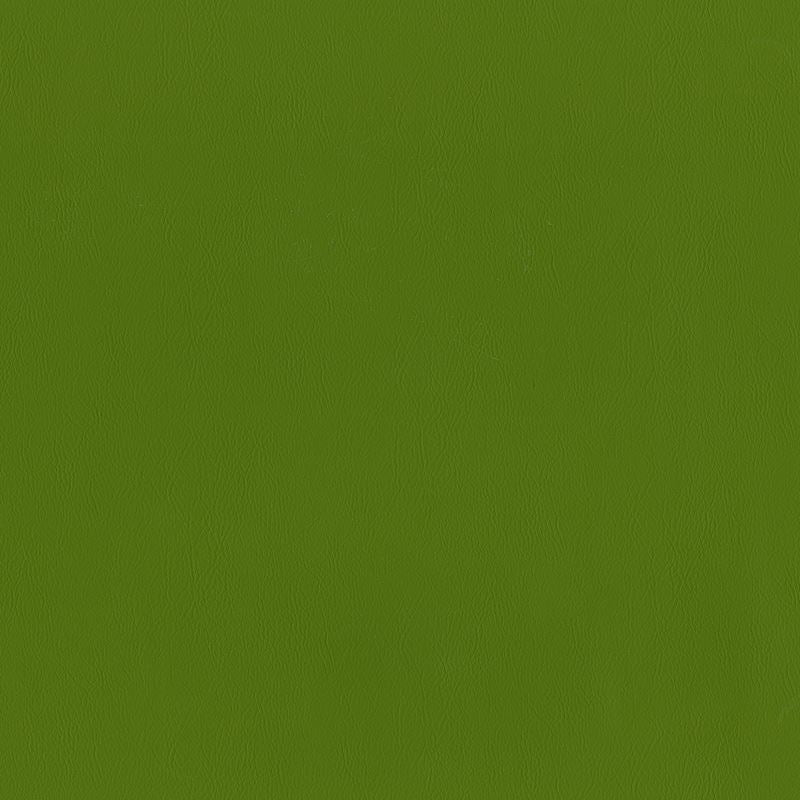 Maxwell Fabric J96614 Jackson Grass