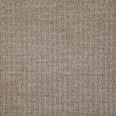 Pindler Fabric JUD006-BG01 Judy Latte