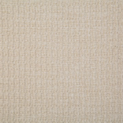 Pindler Fabric JUD006-BG05 Judy Beige