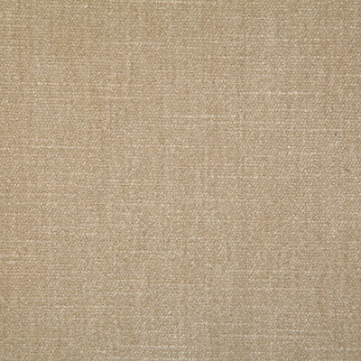 Pindler Fabric KEN057-BG09 Kennedy Champagne