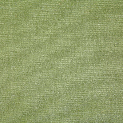 Pindler Fabric KEN057-GR13 Kennedy Celadon