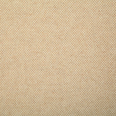 Pindler Fabric KEN060-BG05 Kenneth Chamois