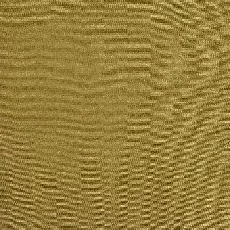 Scalamandre Fabric LB 0140214C Dupioni Solids Patna