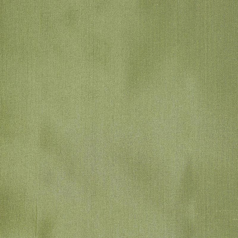 Scalamandre Fabric LB 0227214C Dupioni Solids Guntur