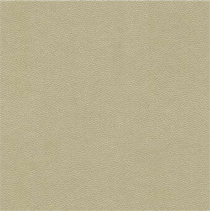 Kravet Design Fabric LITESTAR.116 Litestar Sand