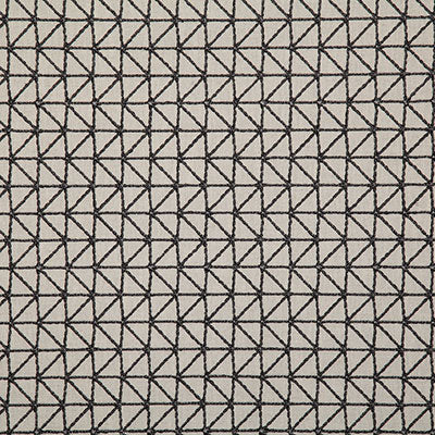 Pindler Fabric LOM012-BK01 Lomas Noir