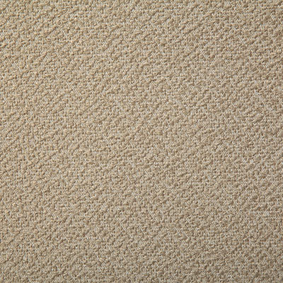 Pindler Fabric LON024-BG05 Longmont Desert