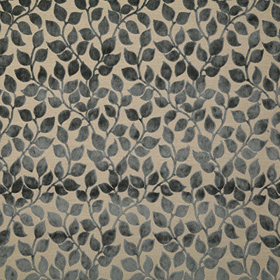 Pindler Fabric LOT006-GY06 Lottie Charcoal