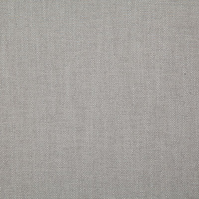 Pindler Fabric LUS009-GY01 Lush Silver