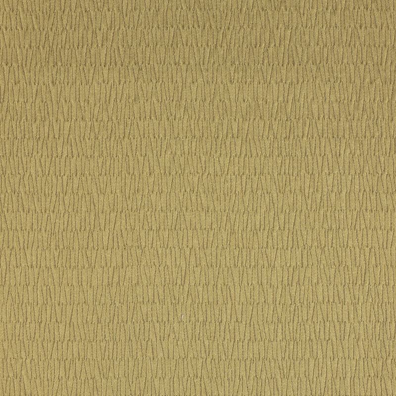 Kravet Design Fabric LZ-30217.05 Earth