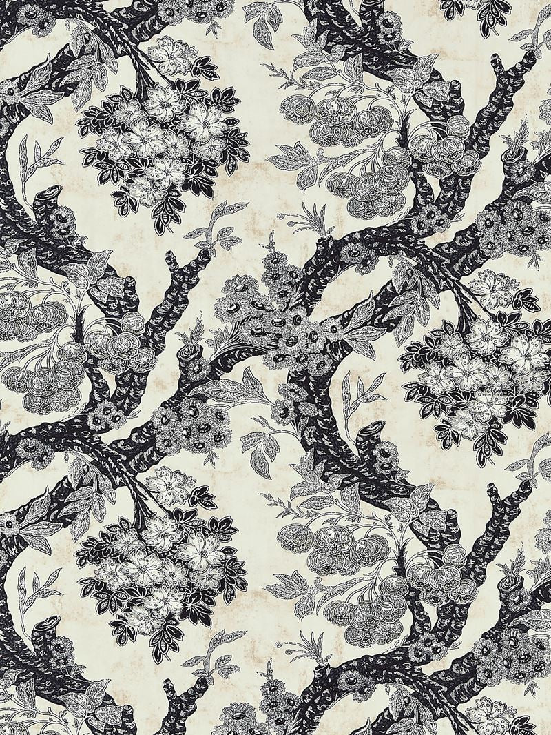 Scalamandre Fabric M7 0002SUMM Summerhouse Hill Charcoal