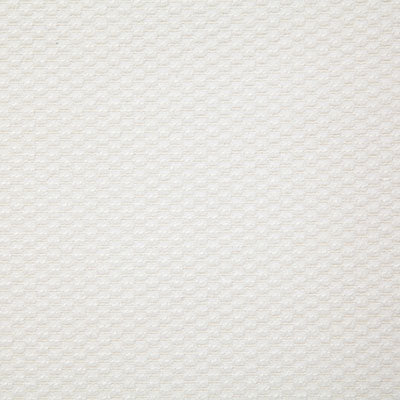 Pindler Fabric MAR290-WH01 Marion Tusk