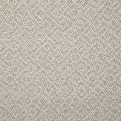 Pindler Fabric NET006-WH01 Netta Oyster