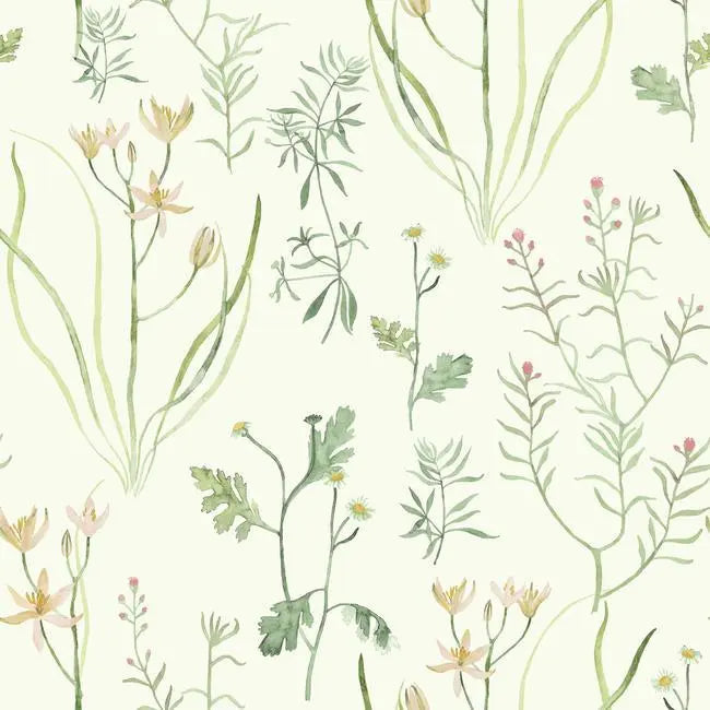 York Wallpaper NR1565 Alpine Botanical