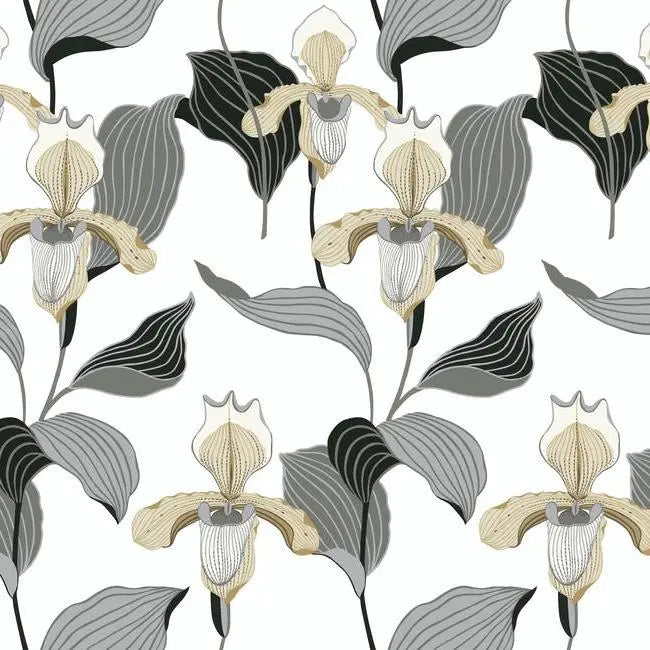 York Wallpaper NV5524 Lady Slipper