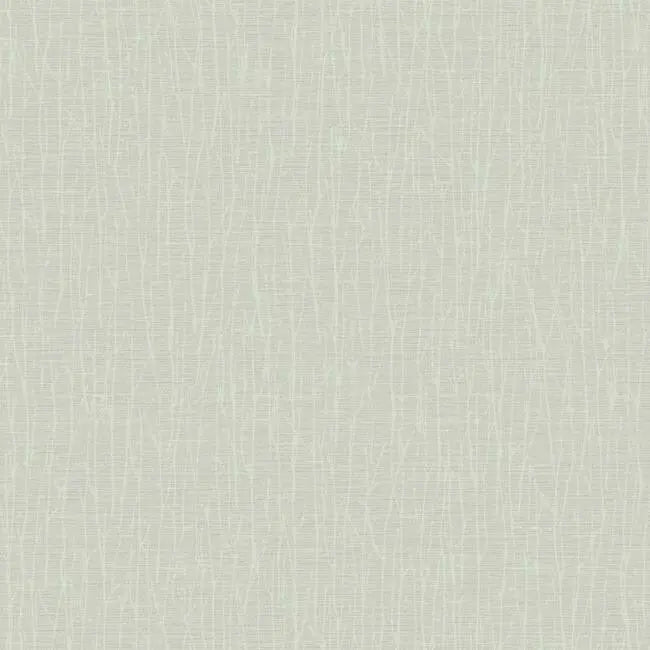 York Wallpaper OG0554 Woodland Twigs