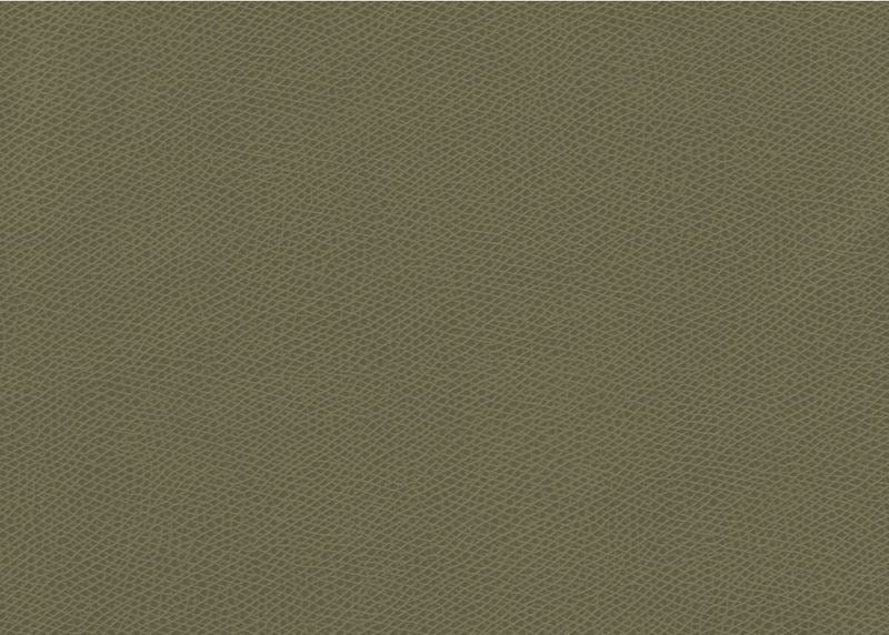 Kravet Contract Fabric OPHIDIAN.3 Ophidian Sage