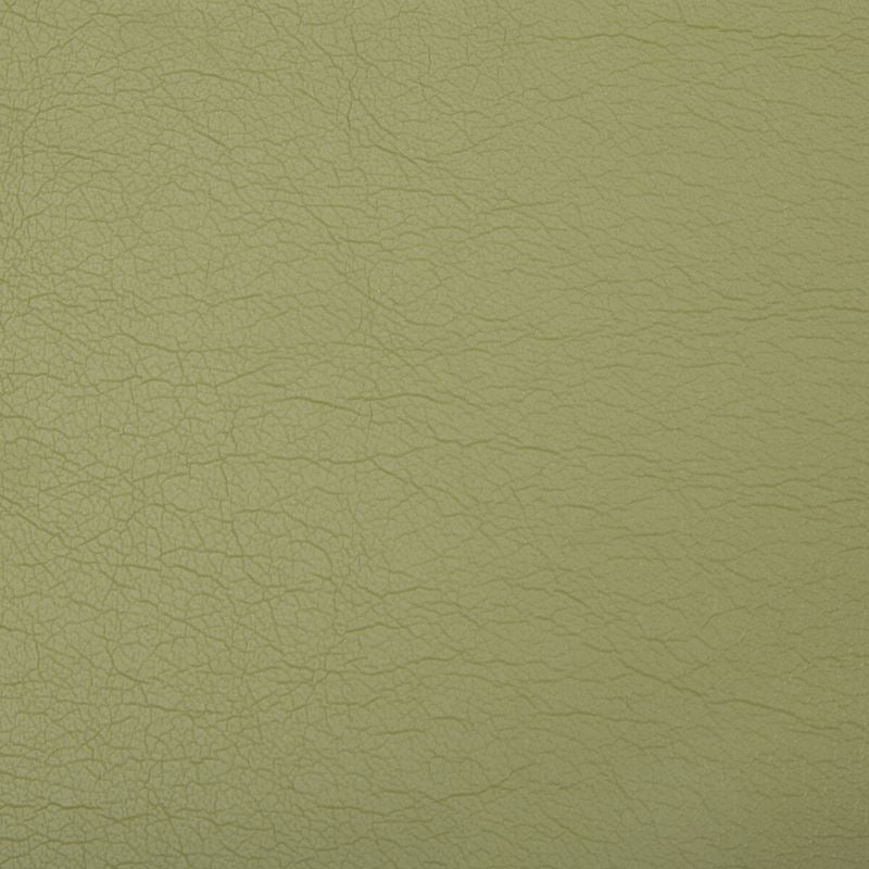 Kravet Contract Fabric OPTIMA.130 Optima Green Tea