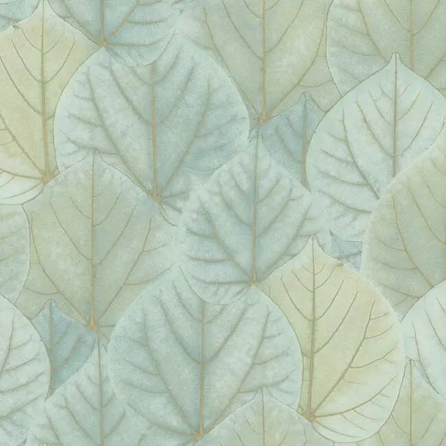 York OS4241 Leaf Concerto Wallpaper