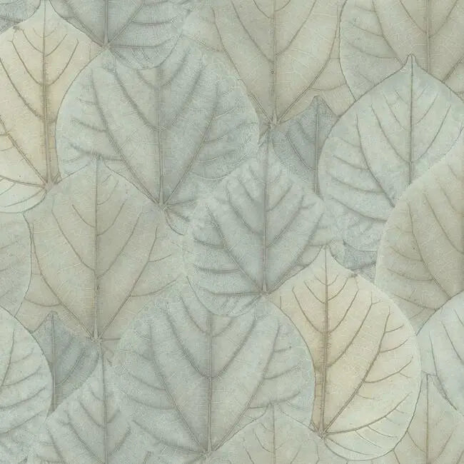 York OS4244 Leaf Concerto Wallpaper