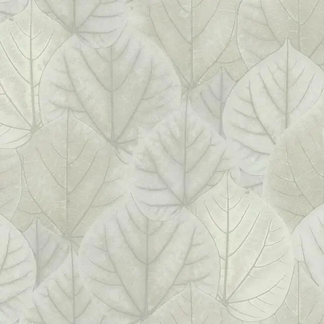 York OS4246 Leaf Concerto Wallpaper