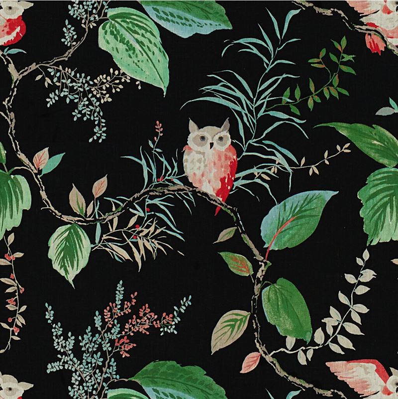 Kravet Design Fabric OWLISH.819 Owlish Black
