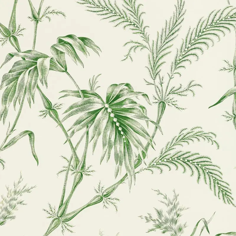 Brunschwig & Fils Wallpaper P8020113.3 Lauziere Green