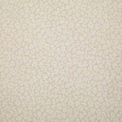 Pindler Fabric PAT033-BG01 Patrice Natural