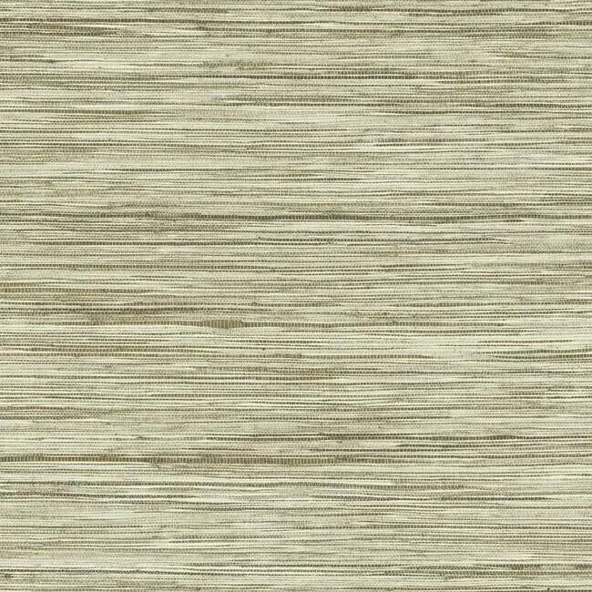 York Wallpaper PSW1135RL Bahiagrass