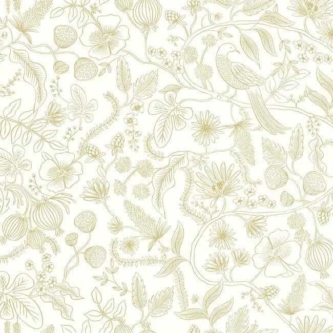 York PSW1309RL Aviary Peel and Stick Wallpaper