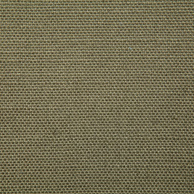 Pindler Fabric REE018-GR05 Reese Olive