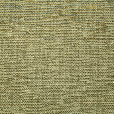 Pindler Fabric ROC039-GR09 Rocco Moss