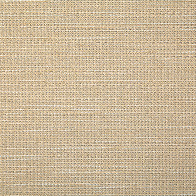 Pindler Fabric ROV003-BG05 Rover Straw