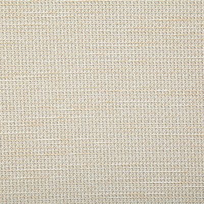 Pindler Fabric ROV003-WH01 Rover Alabaster