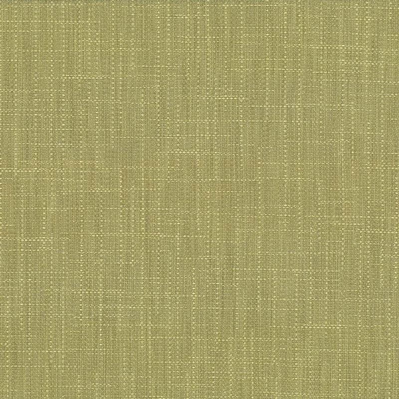 Kasmir Fabric San Carlos Moss