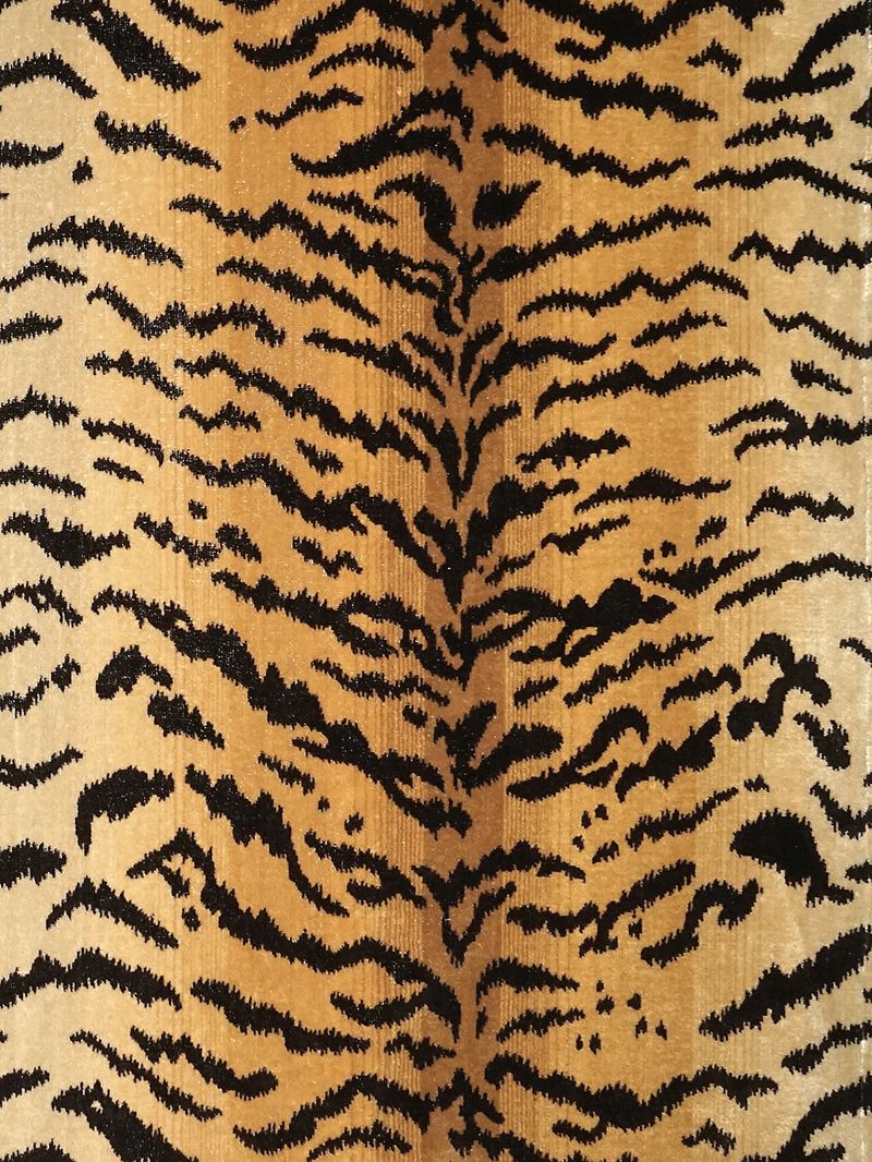 Scalamandre Fabric SC 000126167MM Tigre - Silk Ivory Gold & Black