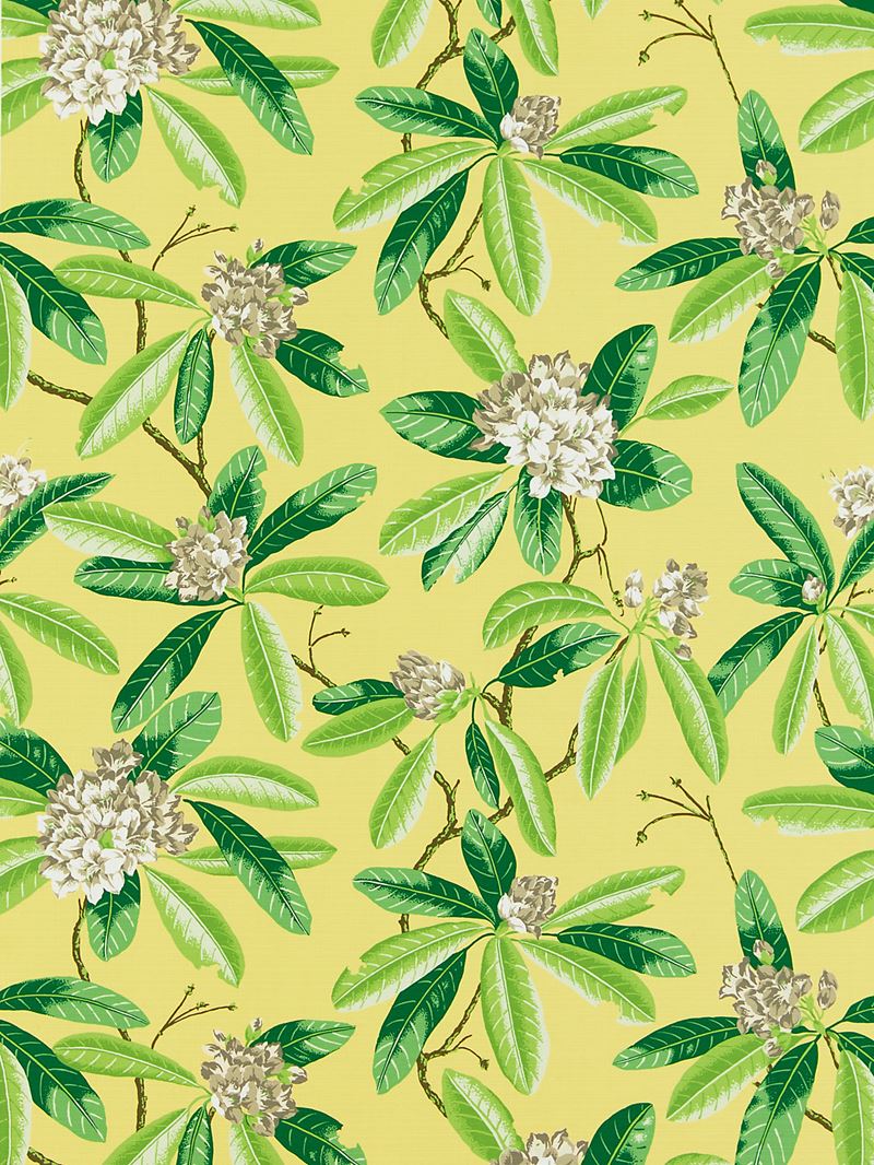 Scalamandre Fabric SC 000216454M Rhododendron - Outdoor Pineapple