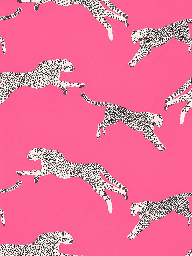 Scalamandre Fabric SC 000316634 Leaping Cheetah Cotton Print Bubblegum