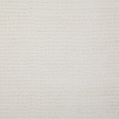 Pindler Fabric SOR013-WH05 Sorrens Cloud