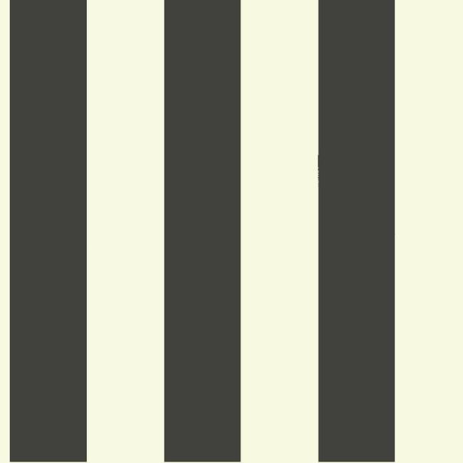 York ST5691 Tropics 3" Stripe Wallpaper