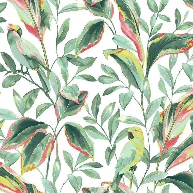 York TC2653 Tropical Love Birds Wallpaper